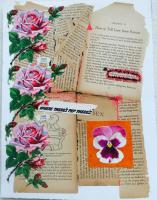 exhibited in Winter Juried Exhibition 2016, PAAM