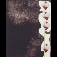 artwork by KD Mernin